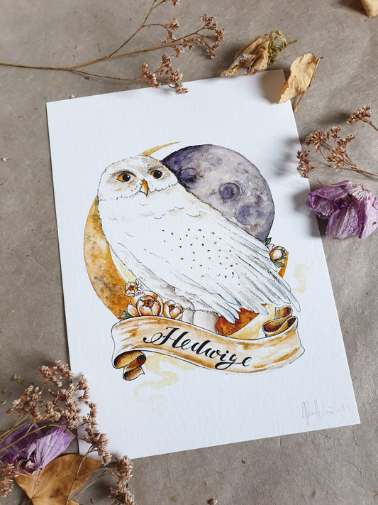 Hedwige | Art print