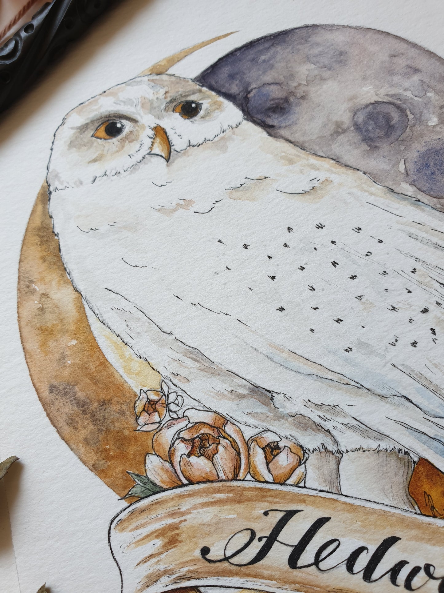 Aquarelle Originale | Hedwige